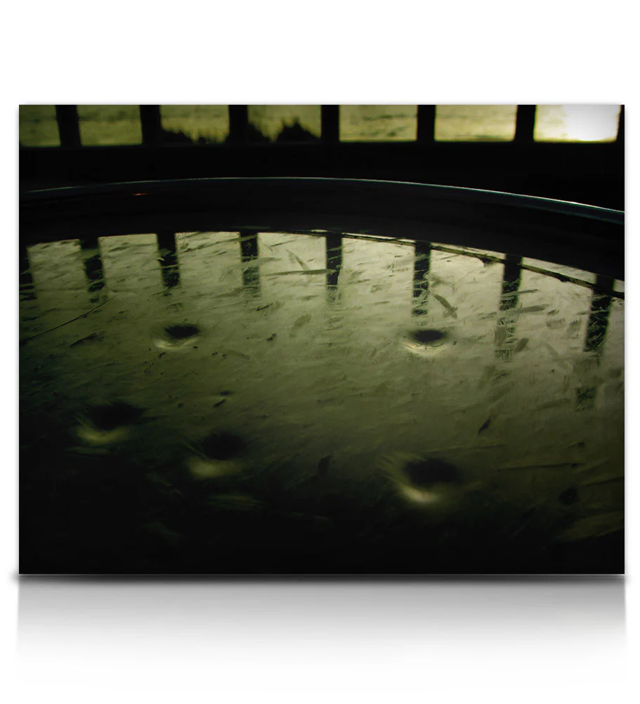 Apocalypse Percussion Ensemble - Image 10