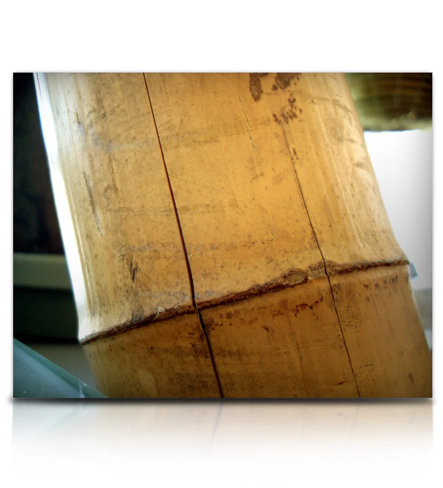 Bamboo Stick Ensemble - Image 6