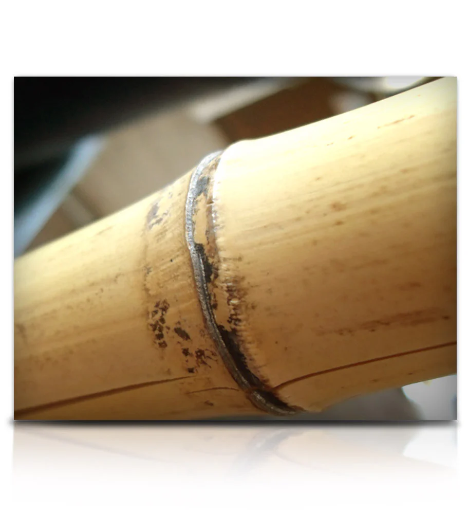 Bamboo Stick Ensemble - Image 8