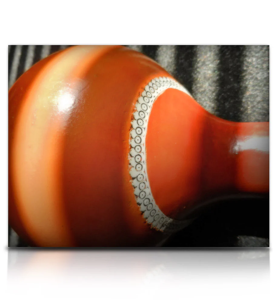 Bizarre Sitar - Image 10