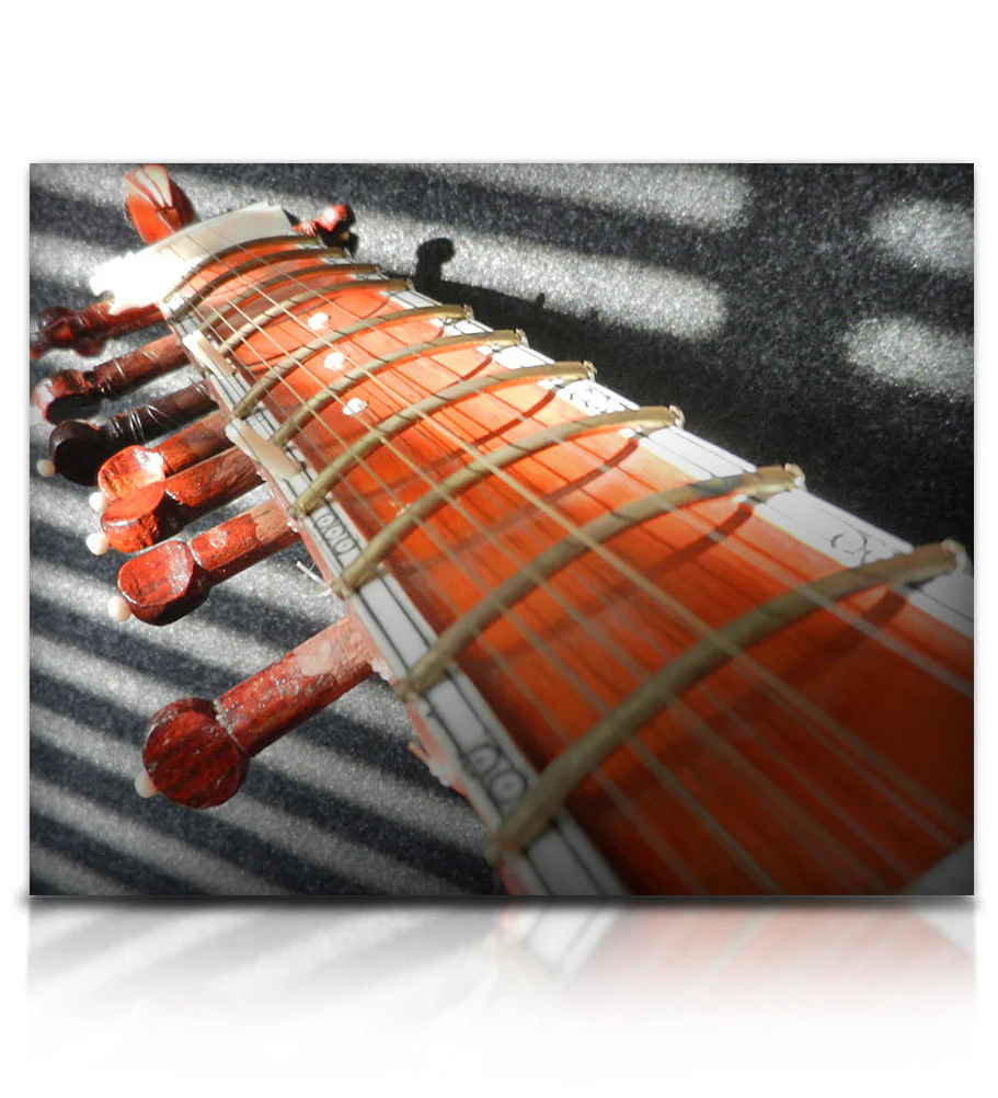 Bizarre Sitar - Image 11