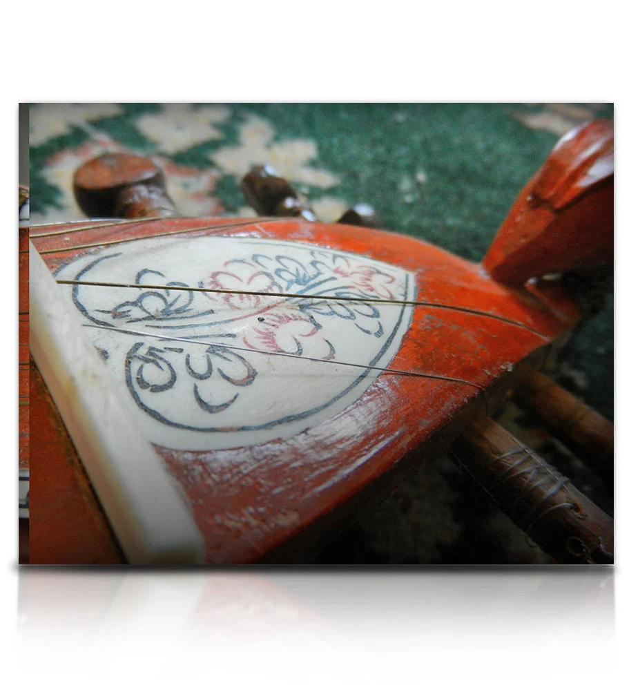 Bizarre Sitar - Image 12