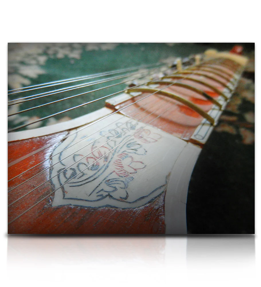 Bizarre Sitar - Image 5