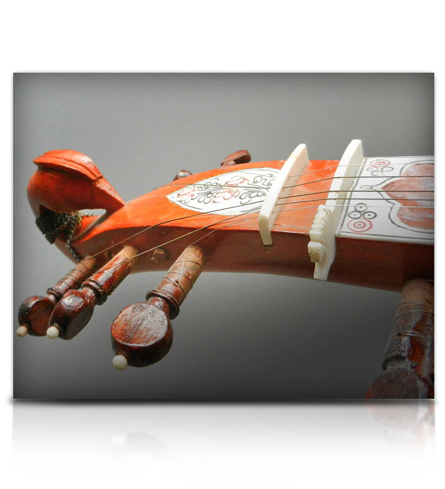 Bizarre Sitar - Image 6