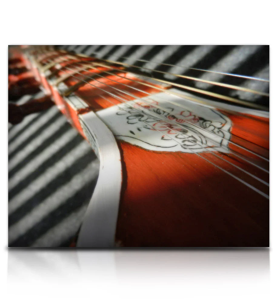 Bizarre Sitar - Image 7