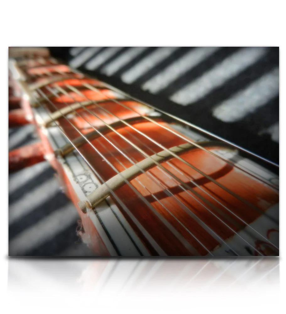 Bizarre Sitar - Image 8