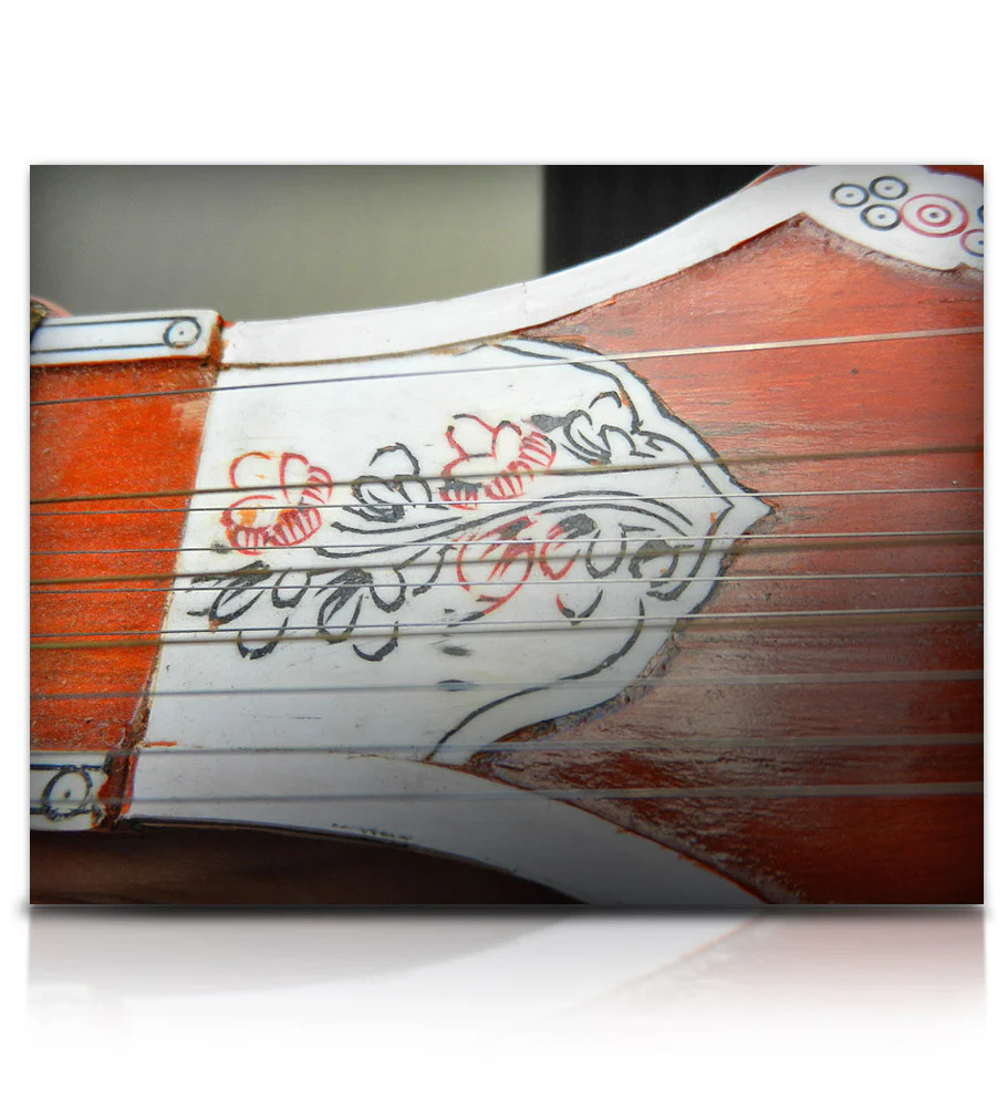 Bizarre Sitar - Image 9