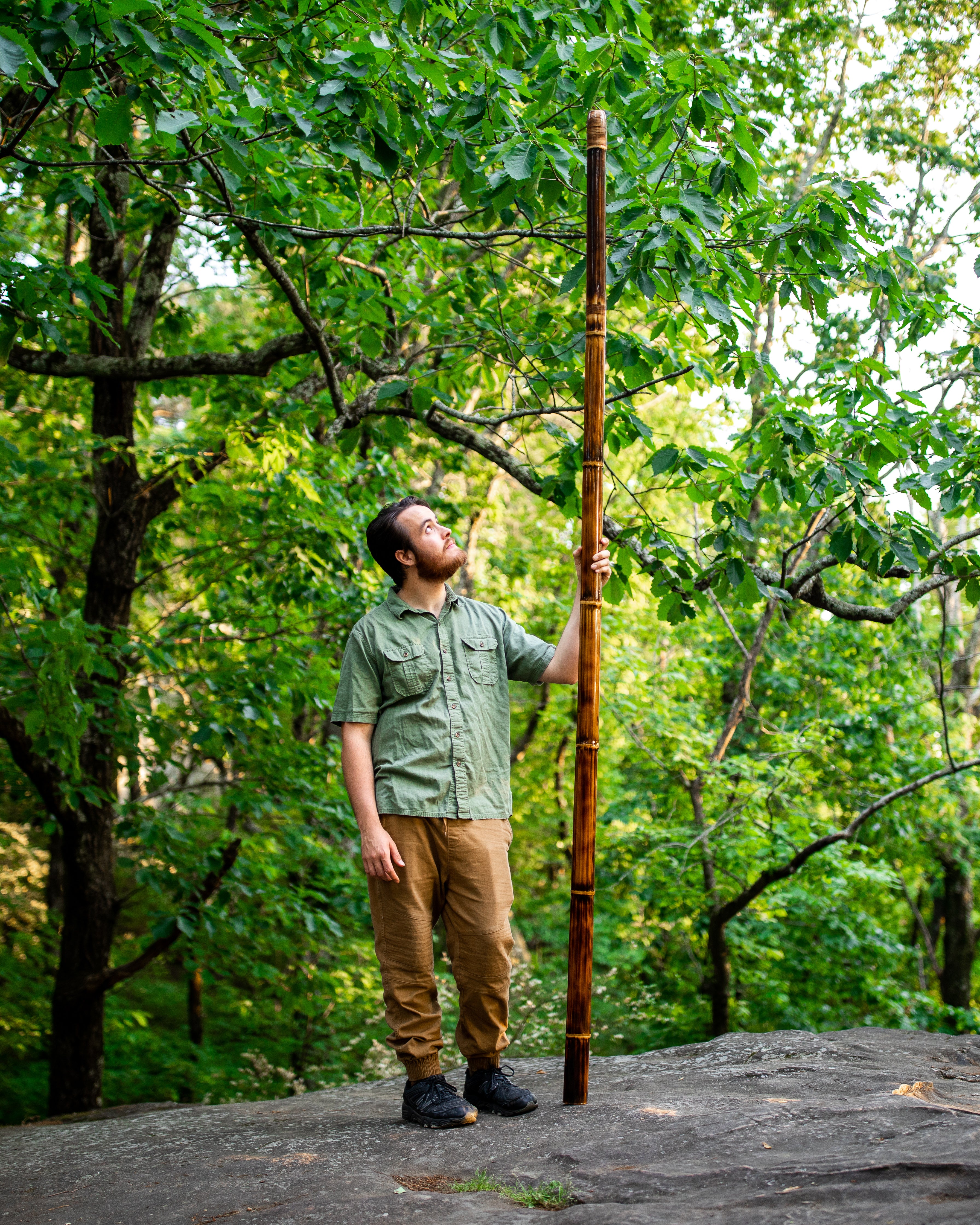 Didgeridoos - Image 7