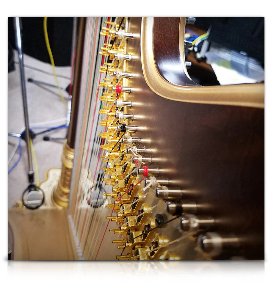 Elysium Harp - Image 11