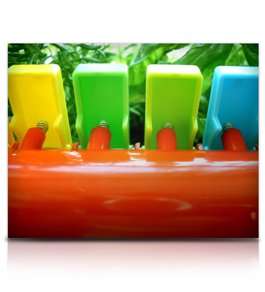 Little Pump Reeds - Image 12