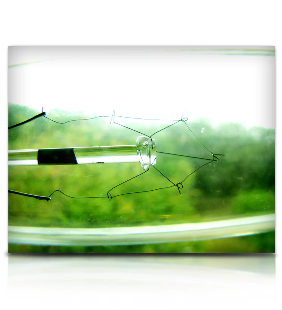 Luminabells - Image 11