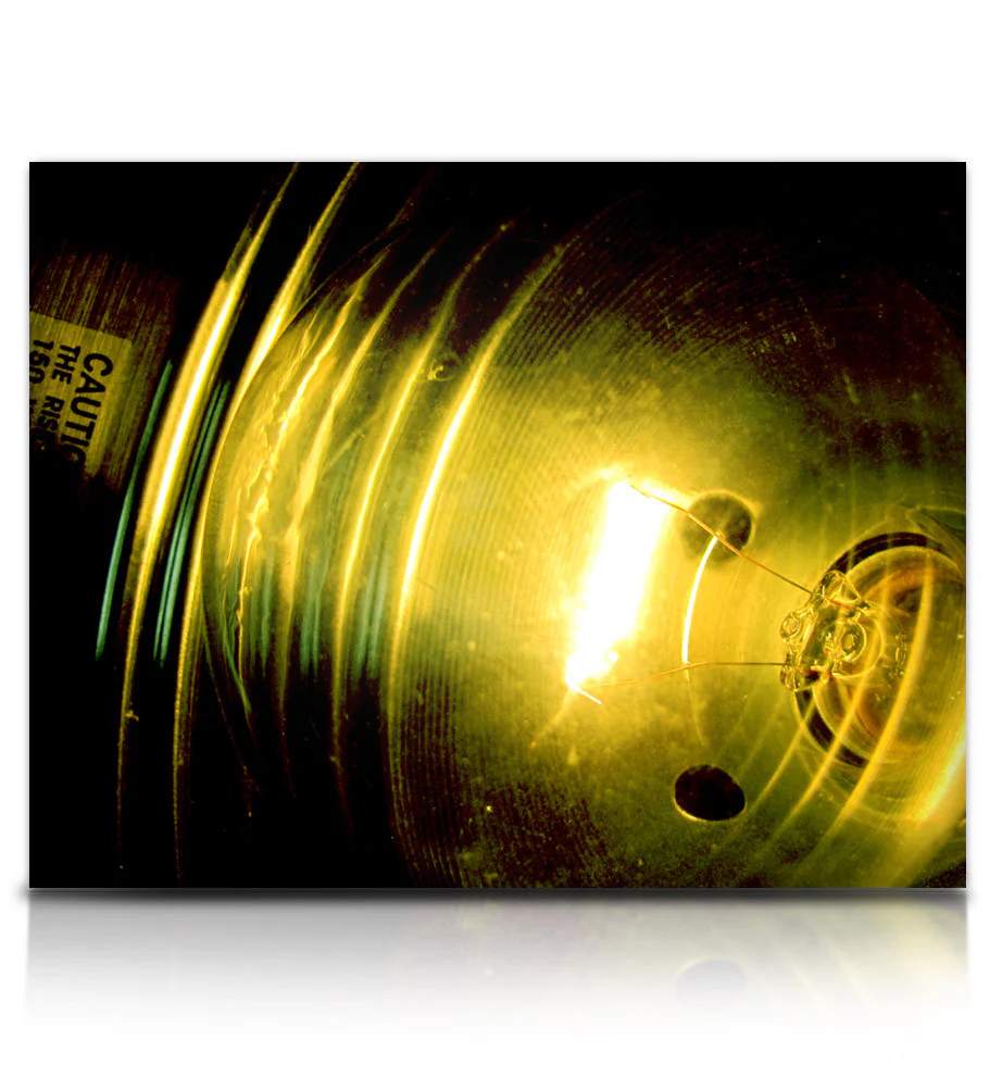 Luminabells - Image 7