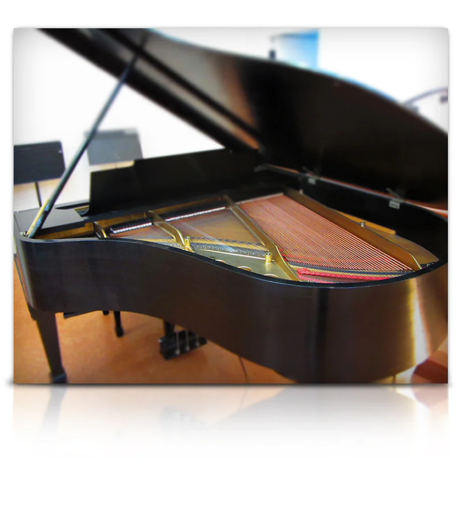 Montclarion Hall Grand Piano - Image 6