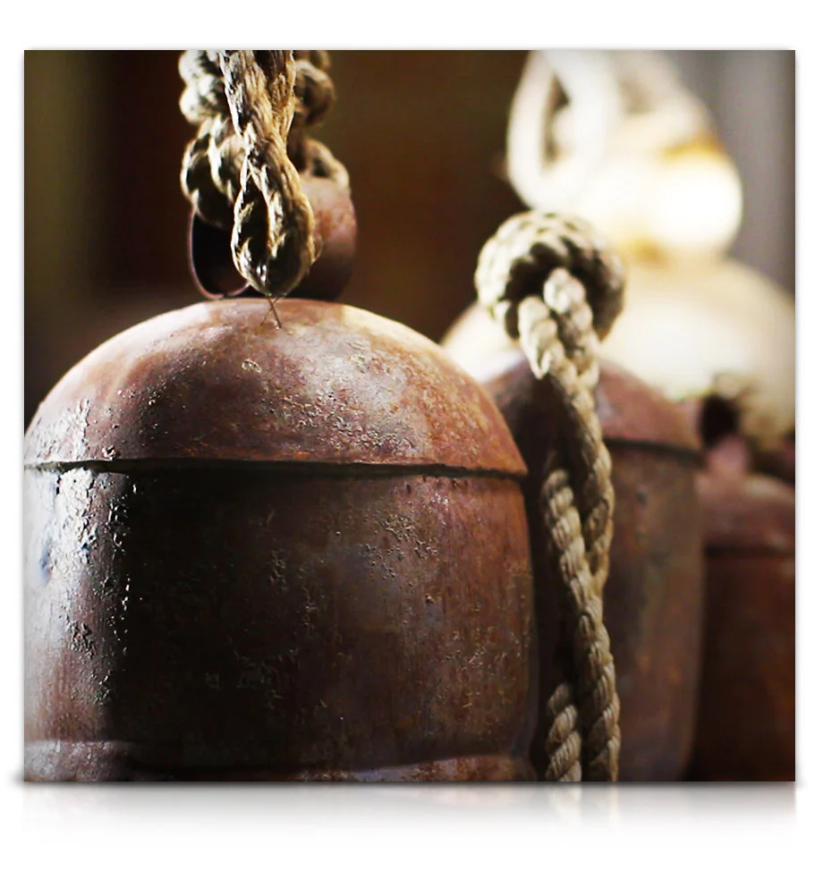 Noah Bells - Image 11