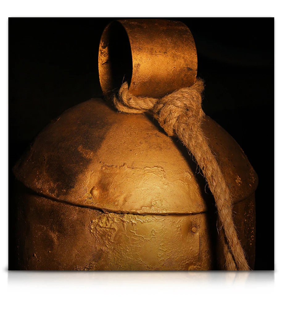 Noah Bells - Image 12