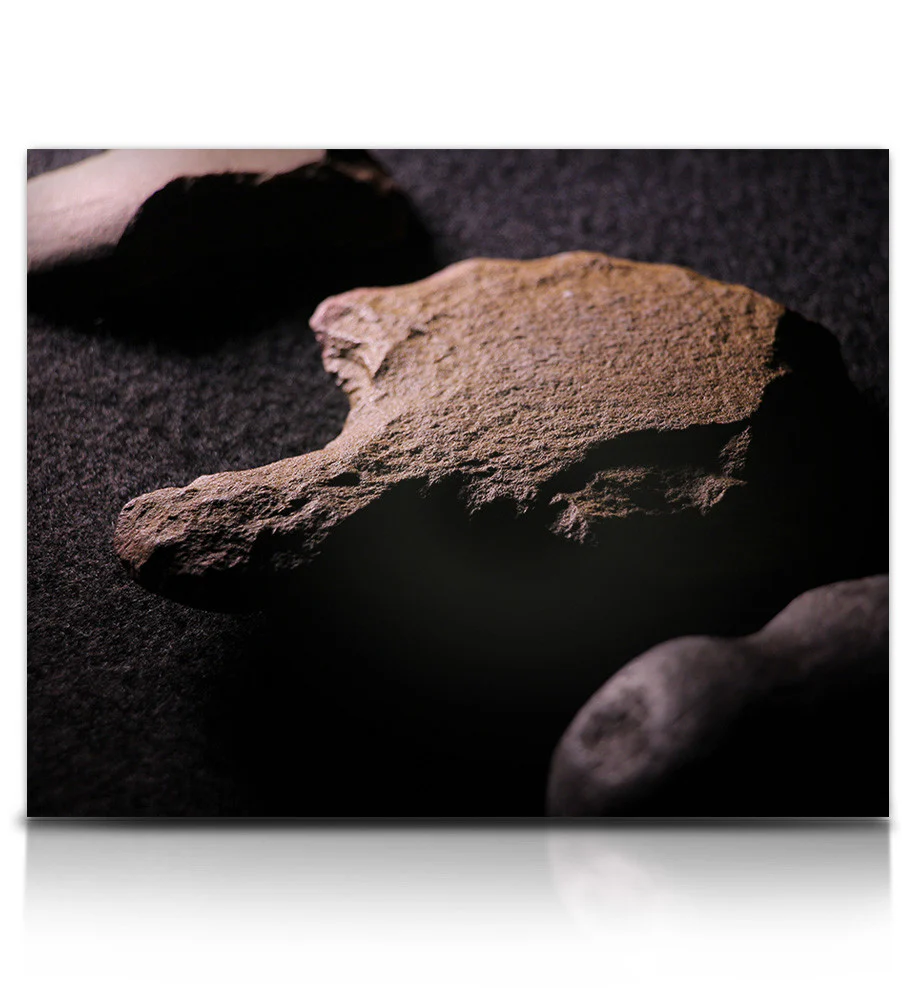 Petroglyph - Image 15