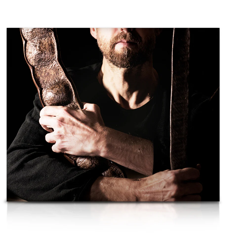 David Oliver's Rhythmic Odyssey - Image 13