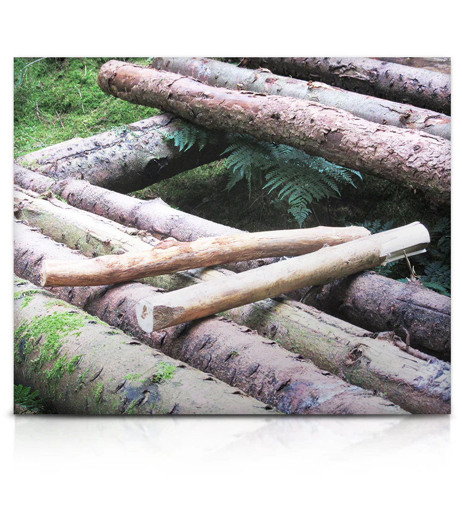 David Oliver's Rhythmic Odyssey - Image 9