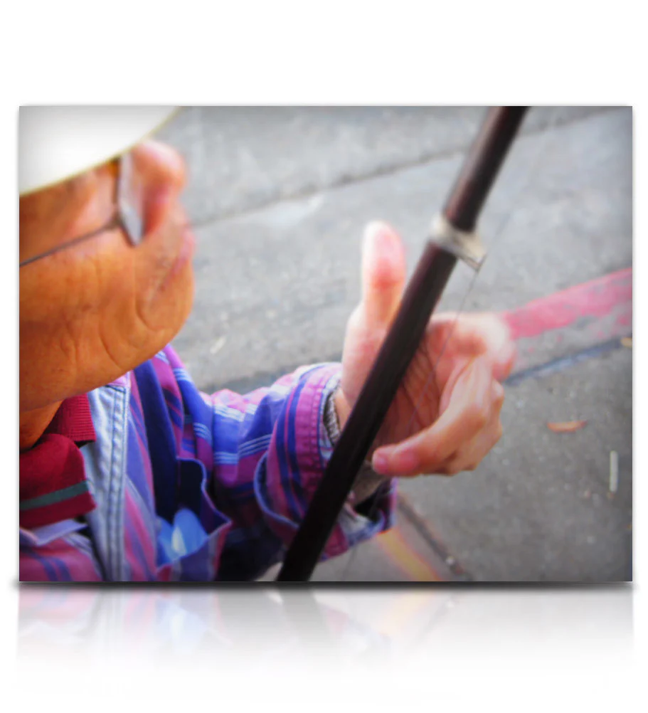 Street Erhu - Image 11