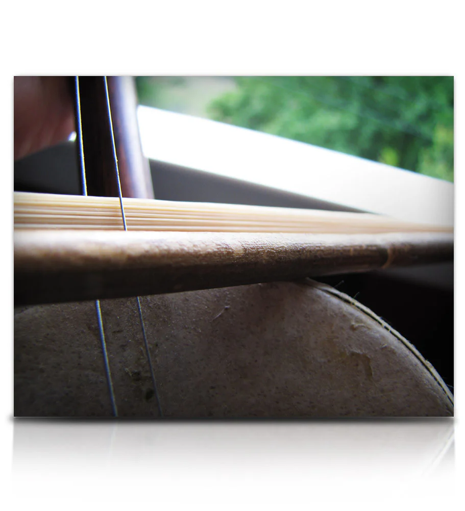 Street Erhu - Image 13