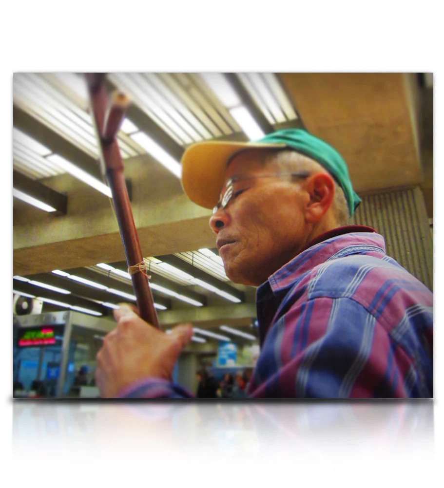 Street Erhu - Image 8