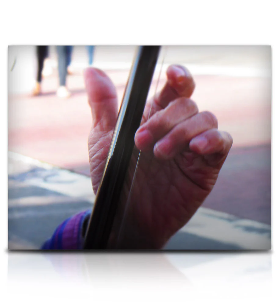 Street Erhu - Image 9