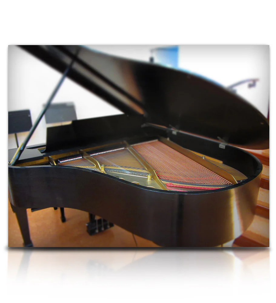 Struck Grand Piano - Image 10