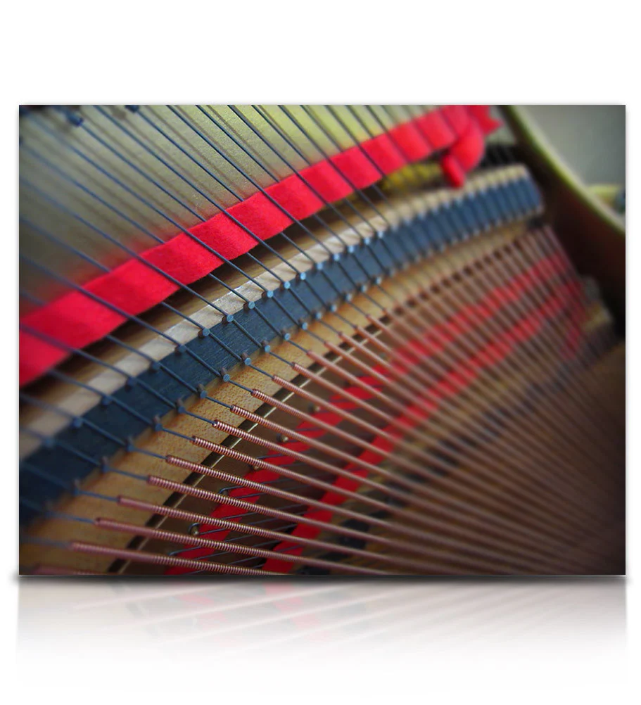 Struck Grand Piano - Image 6