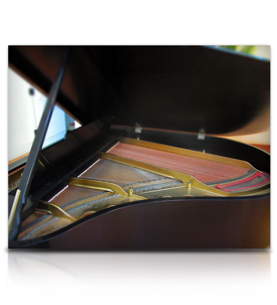 Struck Grand Piano - Image 7