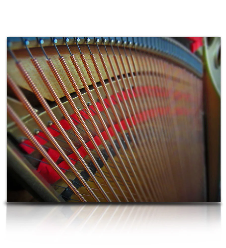 Struck Grand Piano - Image 9