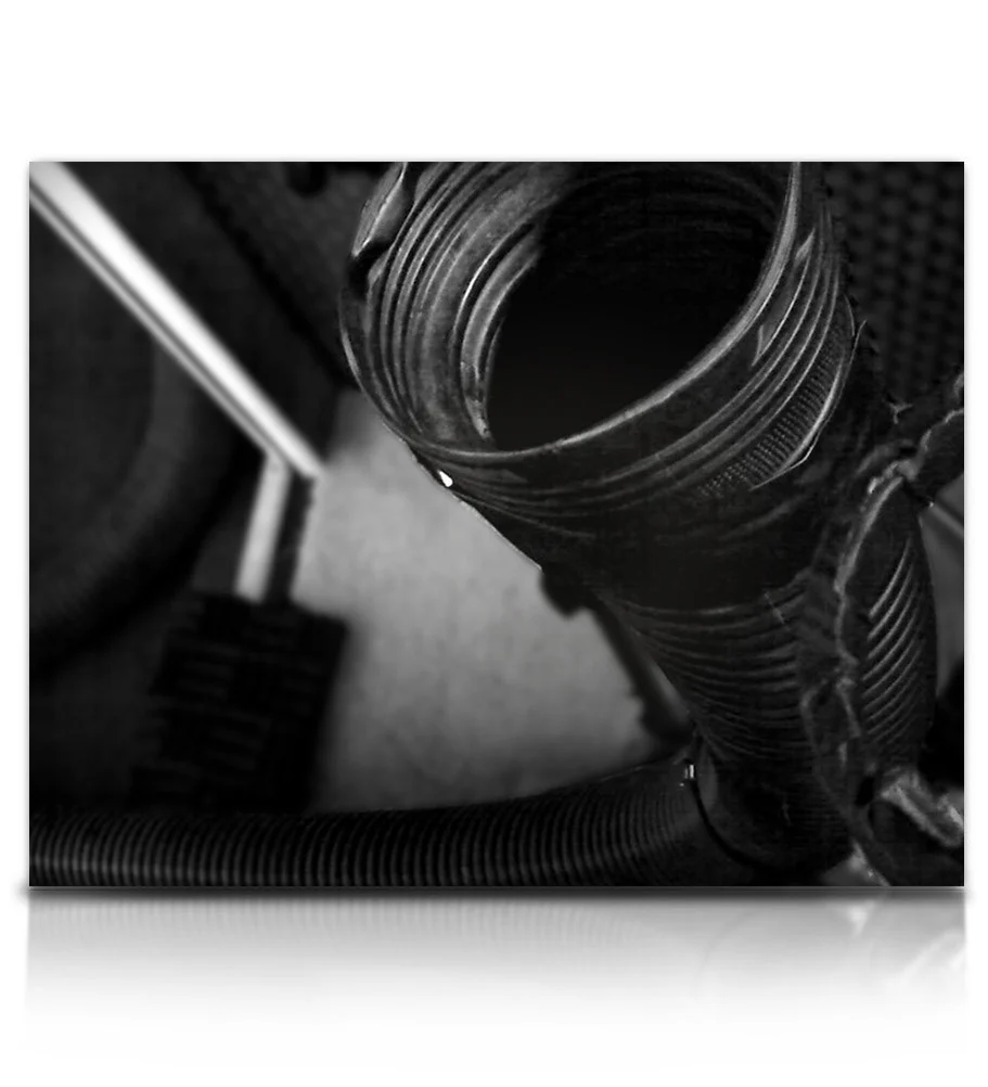 Tone Morsels - Image 15