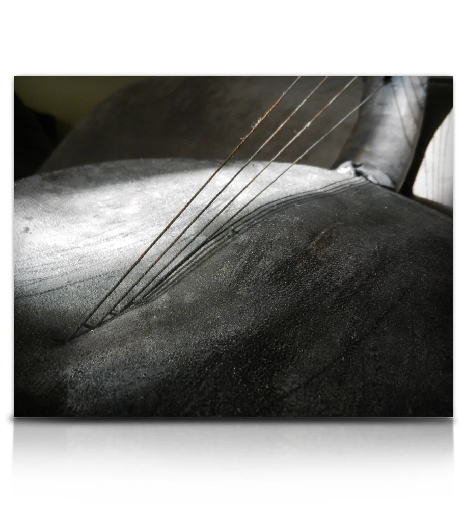 Twine Bass - Image 11