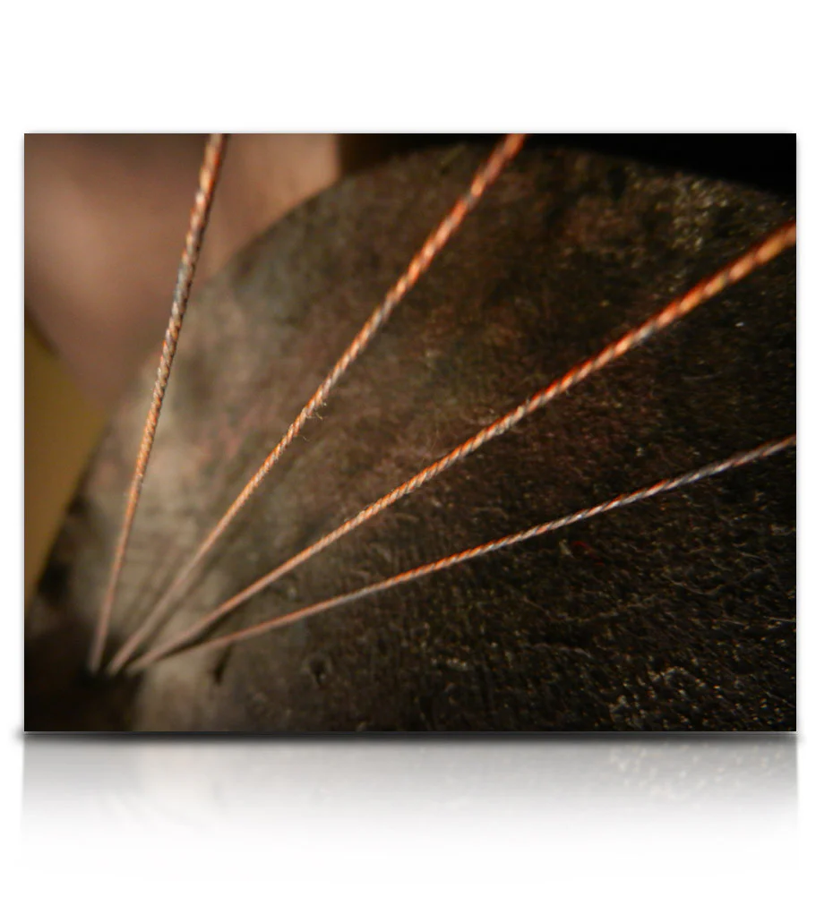 Twine Bass - Image 7