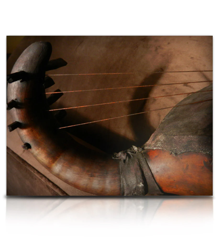 Twine Bass - Image 8